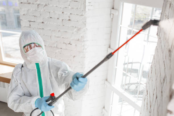 Best Mold Remediation for Rental Properties  in Summit, MS